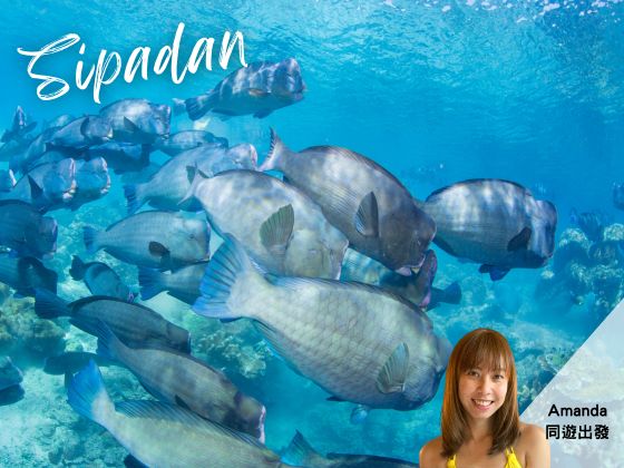2026-04-01 Easter Sipadan 7D6N Borneo Diving Packages - Travel with Amanda